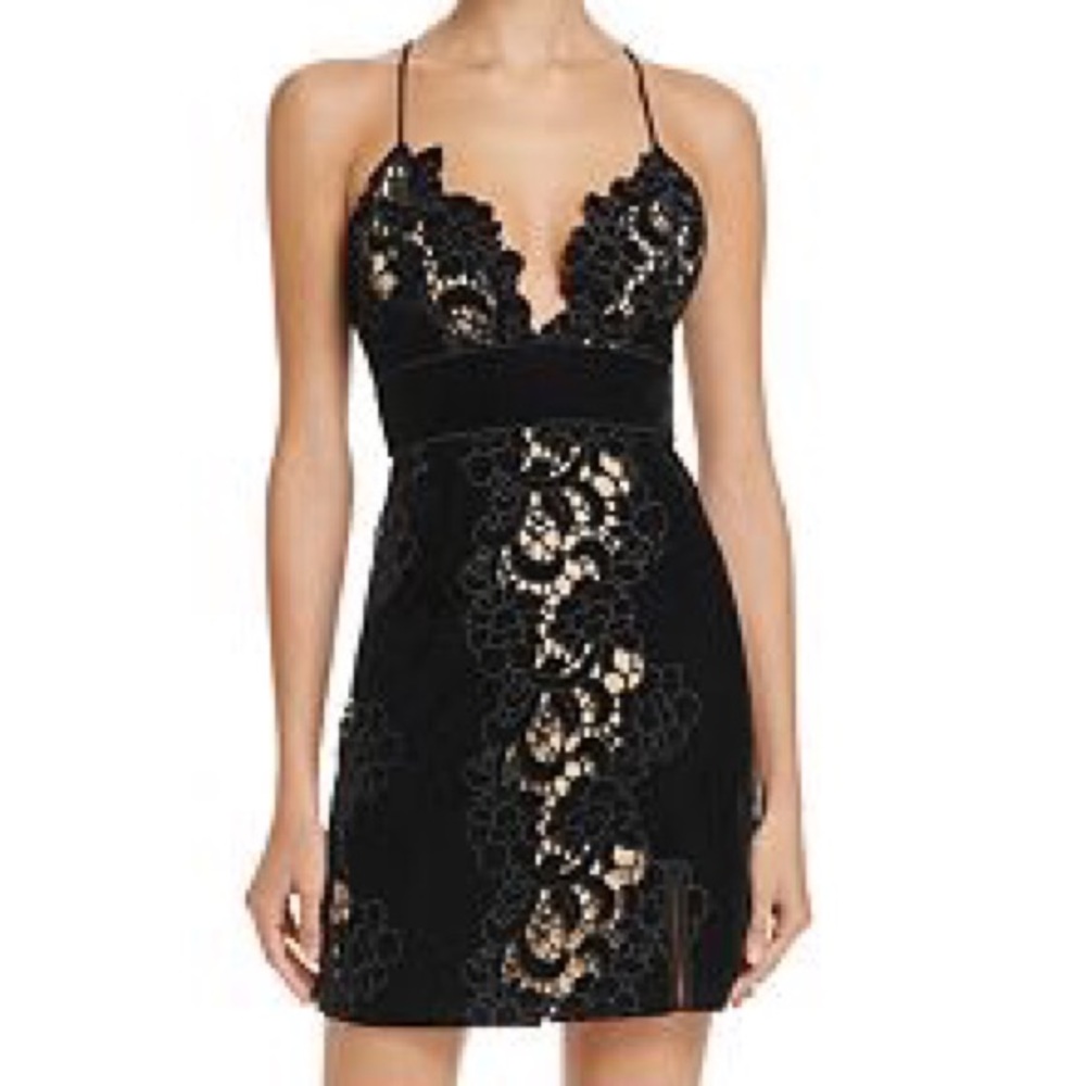 Saylor Velvet Embroidered Lace Dress